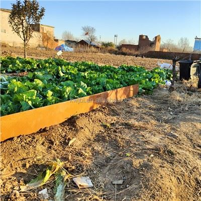 Intemperii "corten" oțel Edging