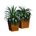 Weathered Rusted Steel Planters