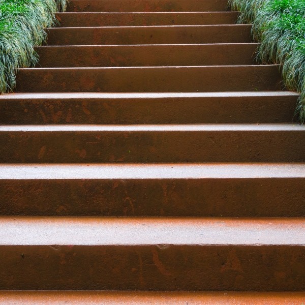 Tree Circle Retaining Board